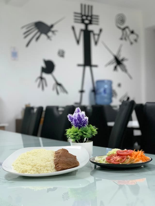 Carne mechada con arroz y ensalada